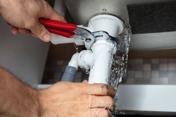 Best Fire Damage Restoration  in Monroeville, IN