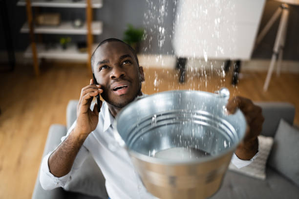 Best Flood damage cleanup  in Monroeville, IN