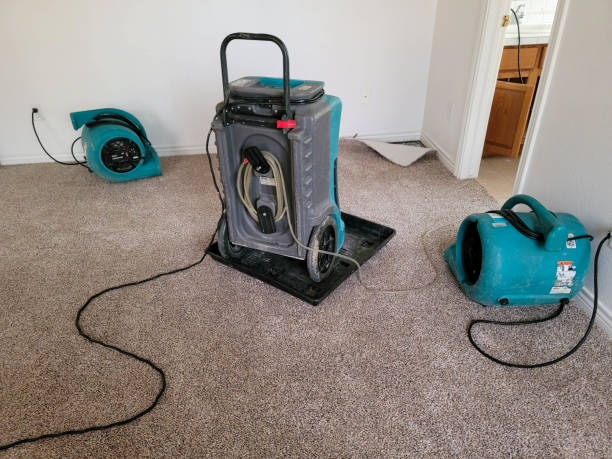 Best Water damage cleanup near me  in Monroeville, IN