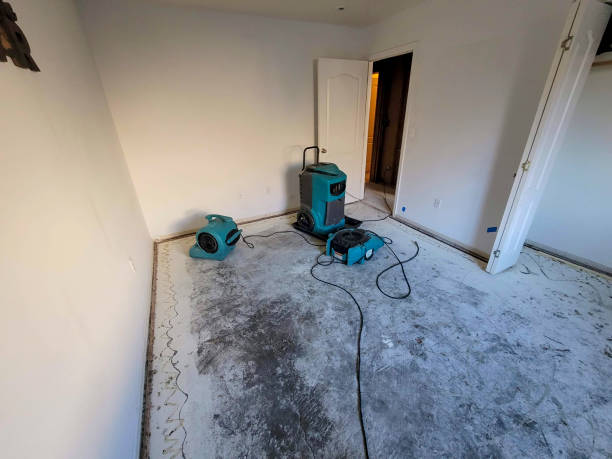 Best Water damage restoration near me  in Monroeville, IN