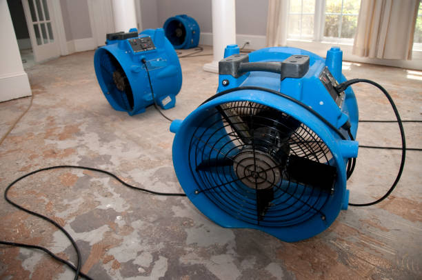 Best Professional water damage repair  in Monroeville, IN