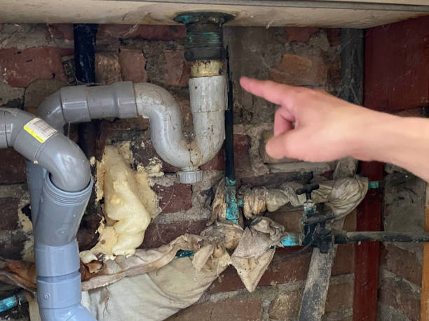 Best Flood restoration services  in Monroeville, IN