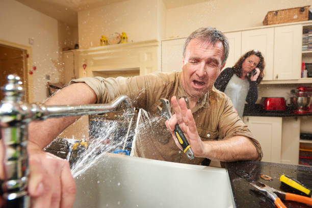  Monroeville, IN Water damage restoration Pros